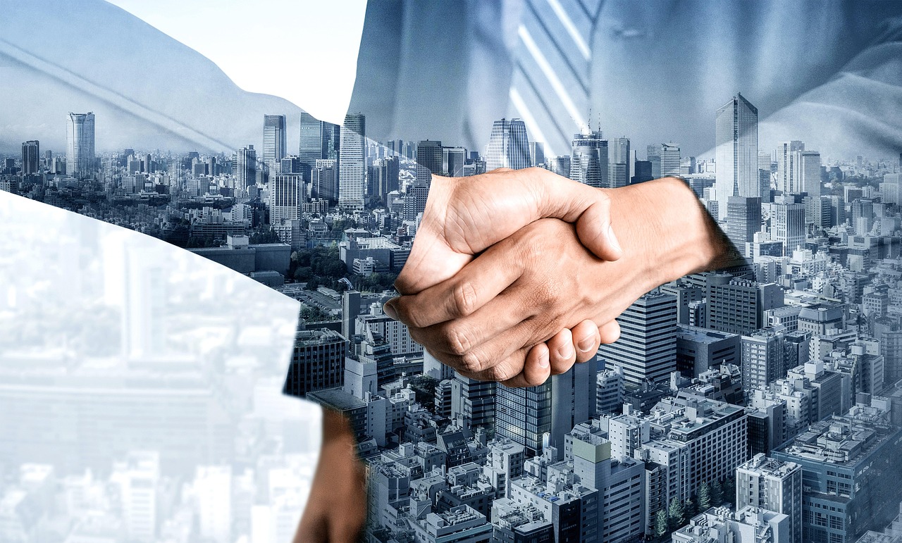Mergers and Acquisitions: Due Diligence Process